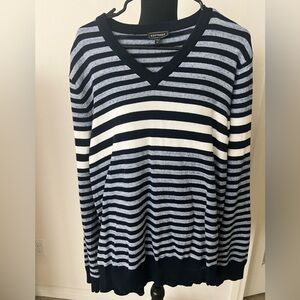 Express Men's V-Neck Sweater in Navy and White Stripes